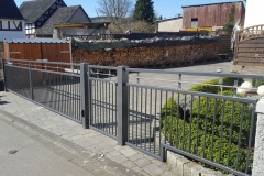 Tor- und Zaunanlage Modell Elegance mit Edelstahlapplikation